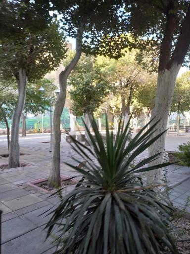 عکس بوستان سایه سار