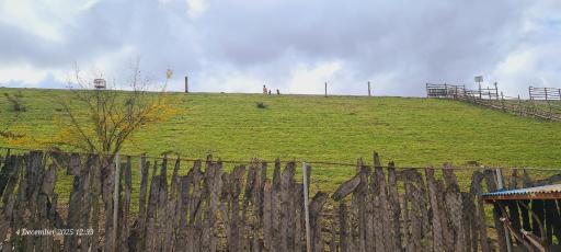 عکس دریاچه الیمالات