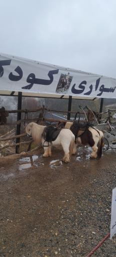 عکس دریاچه الیمالات