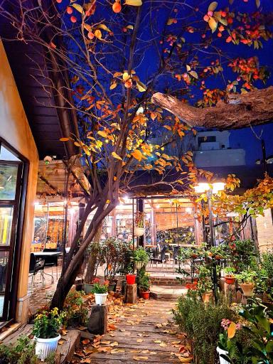 عکس کافه رومی