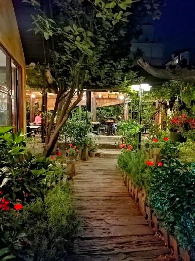 عکس کافه رومی