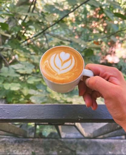 عکس کافه رومی