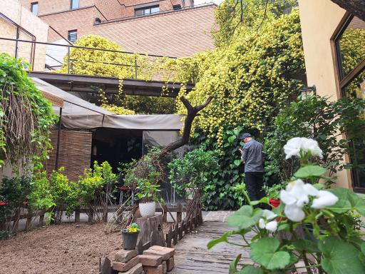 عکس کافه رومی