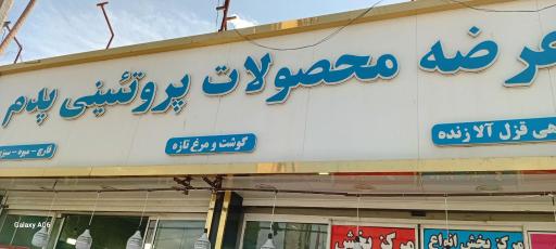 عکس پخش محصولات پروتئینی پدم