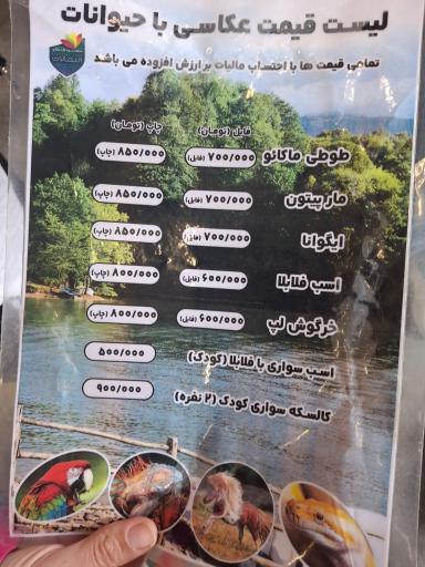 عکس دریاچه الیمالات