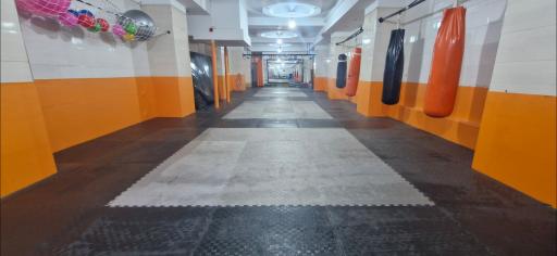عکس باشگاه البرز