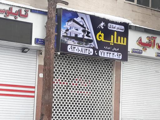 عکس مشاور املاک سایه