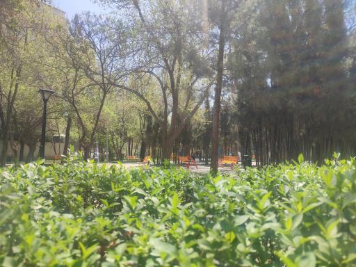 عکس بوستان بهار 