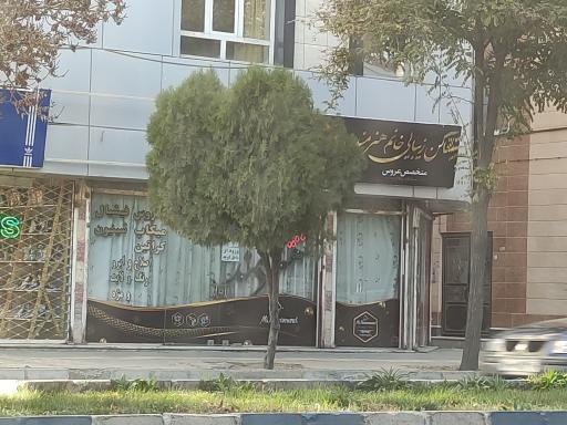 عکس سالن زیبایی هنرمند