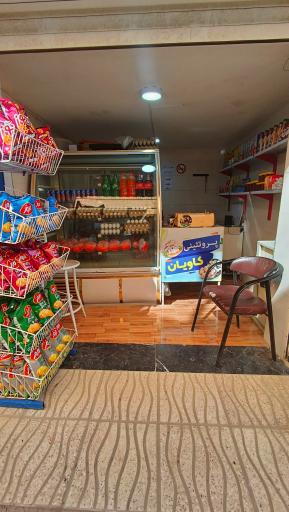 عکس پروتئینی کاویان