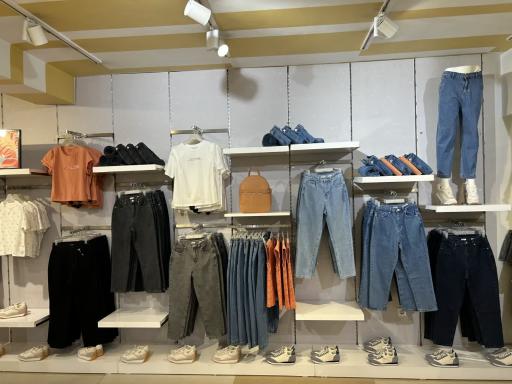 جین وست شعبه سجاد