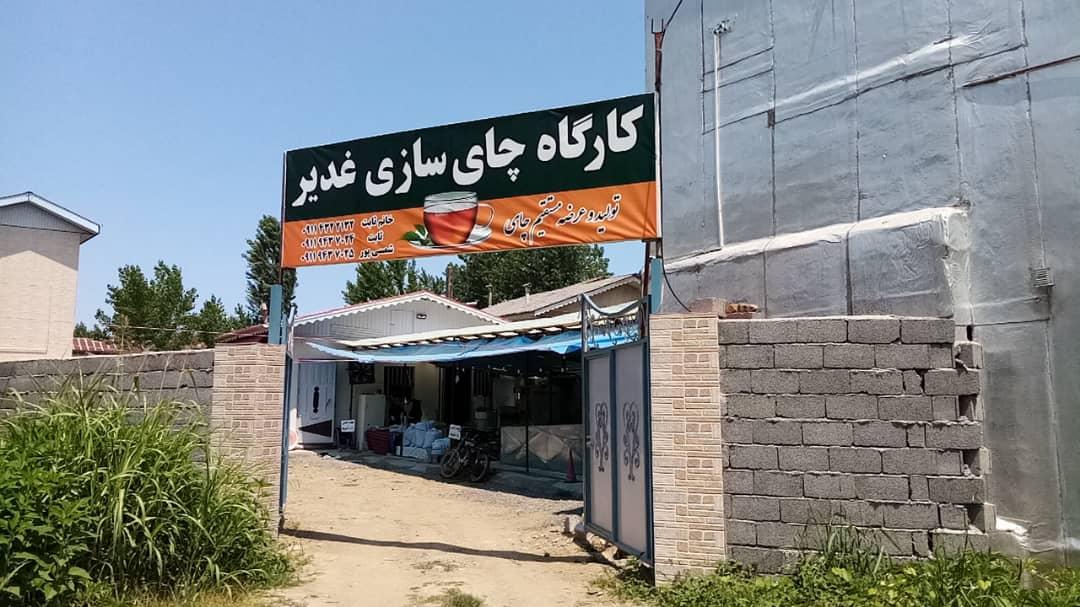 عکس کارگاه چای سازی غدیر