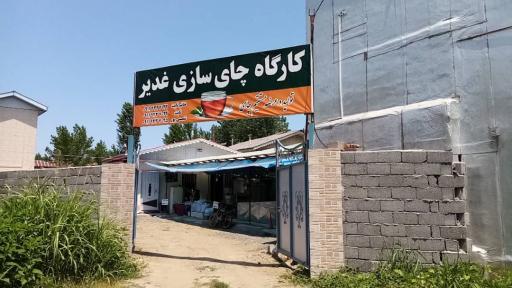 عکس کارگاه چای سازی غدیر