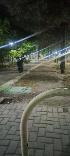 عکس بوستان بهار 