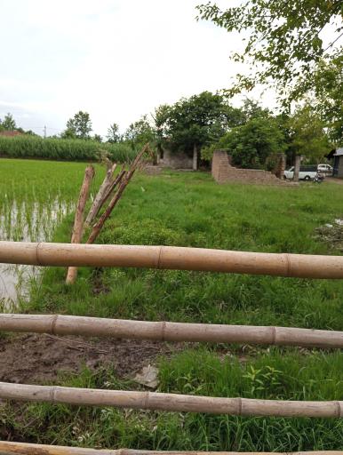 عکس ویشکاننک