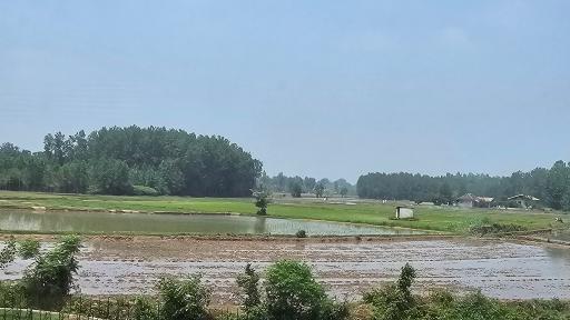عکس ویشکاننک