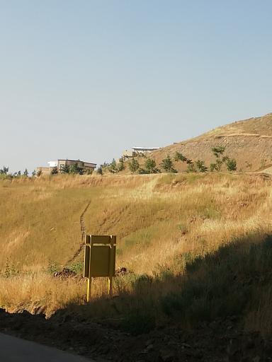 عکس فضای سبز