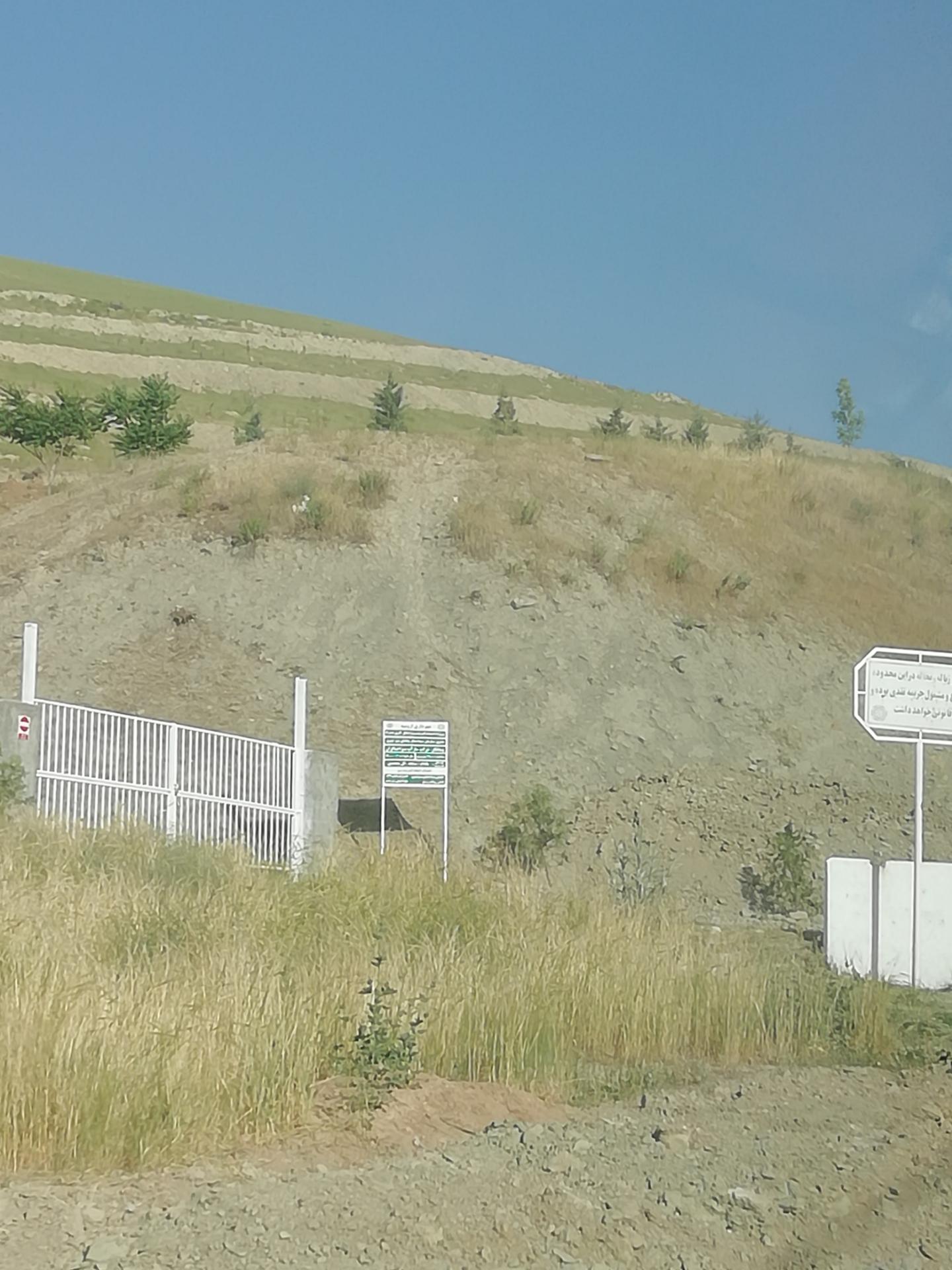 عکس فضای سبز