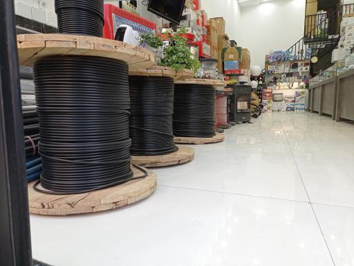 عکس الکتریکی کیان