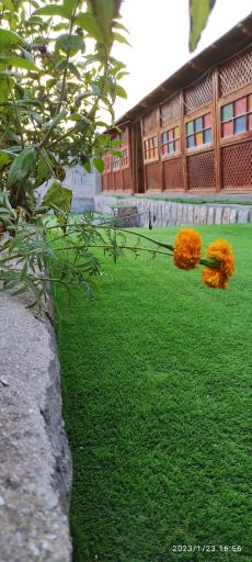 عکس سفره خانه سنتی بادیل عشق