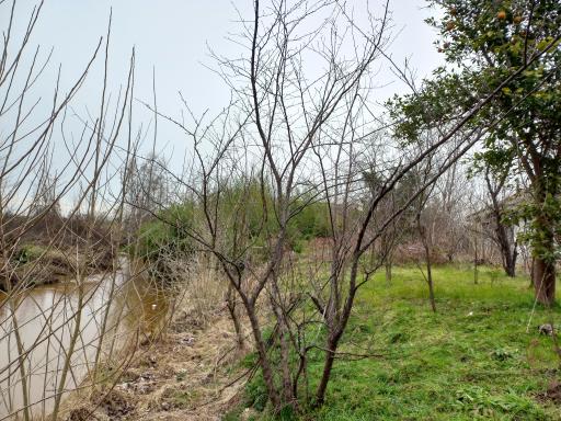 عکس ویشکاننک