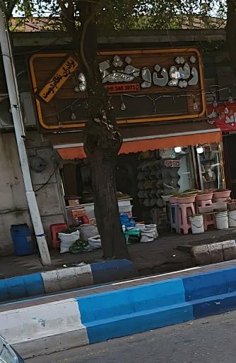 عکس زيتون سرا و خشکبار نظام دوست 