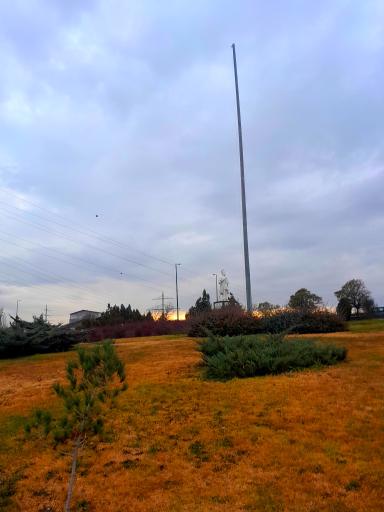 عکس فضای سبز