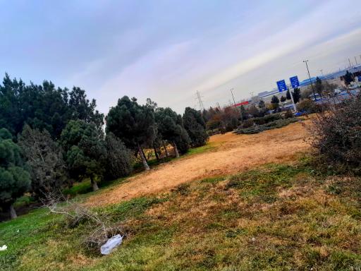 عکس فضای سبز