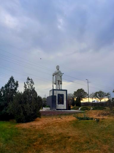 عکس فضای سبز