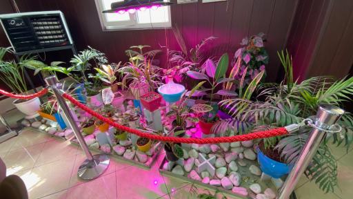 عکس دفتر اسناد رسمی ۱۲ ملارد