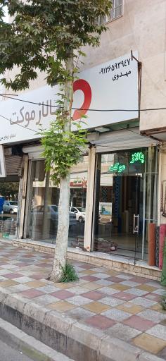 عکس پالاز موکت