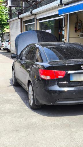 عکس دیتیلینگ خودرو طاووسی