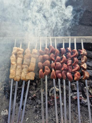 عکس جگر سرای گلشن