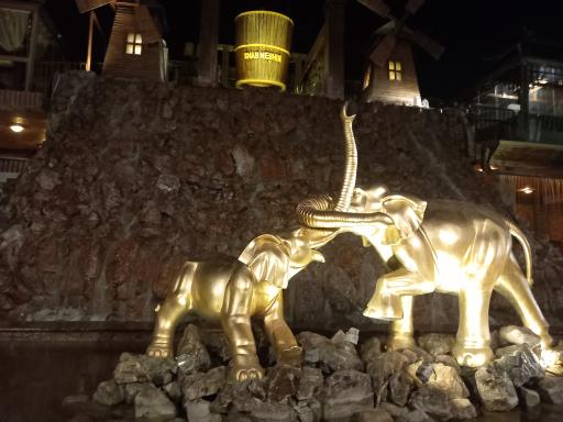 عکس باغ و رستوران شب نشین