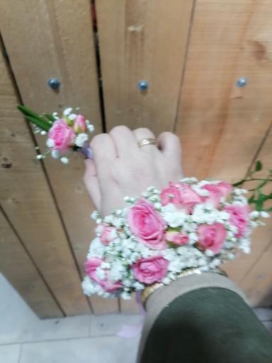 عکس گل فروشی پارسا