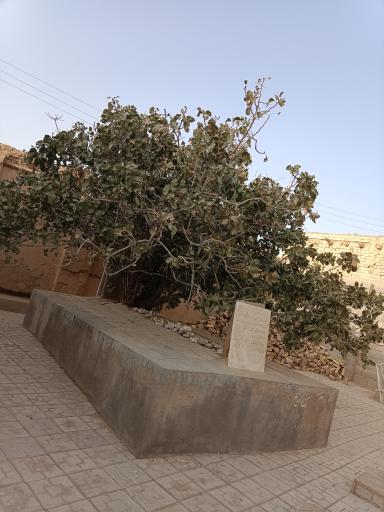 عکس آرامگاه رکن الدین محمود سنجانی