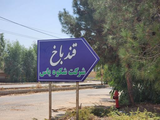 عکس قند باخ (شرکت تولیدی بازرگانی شکوه یاس)