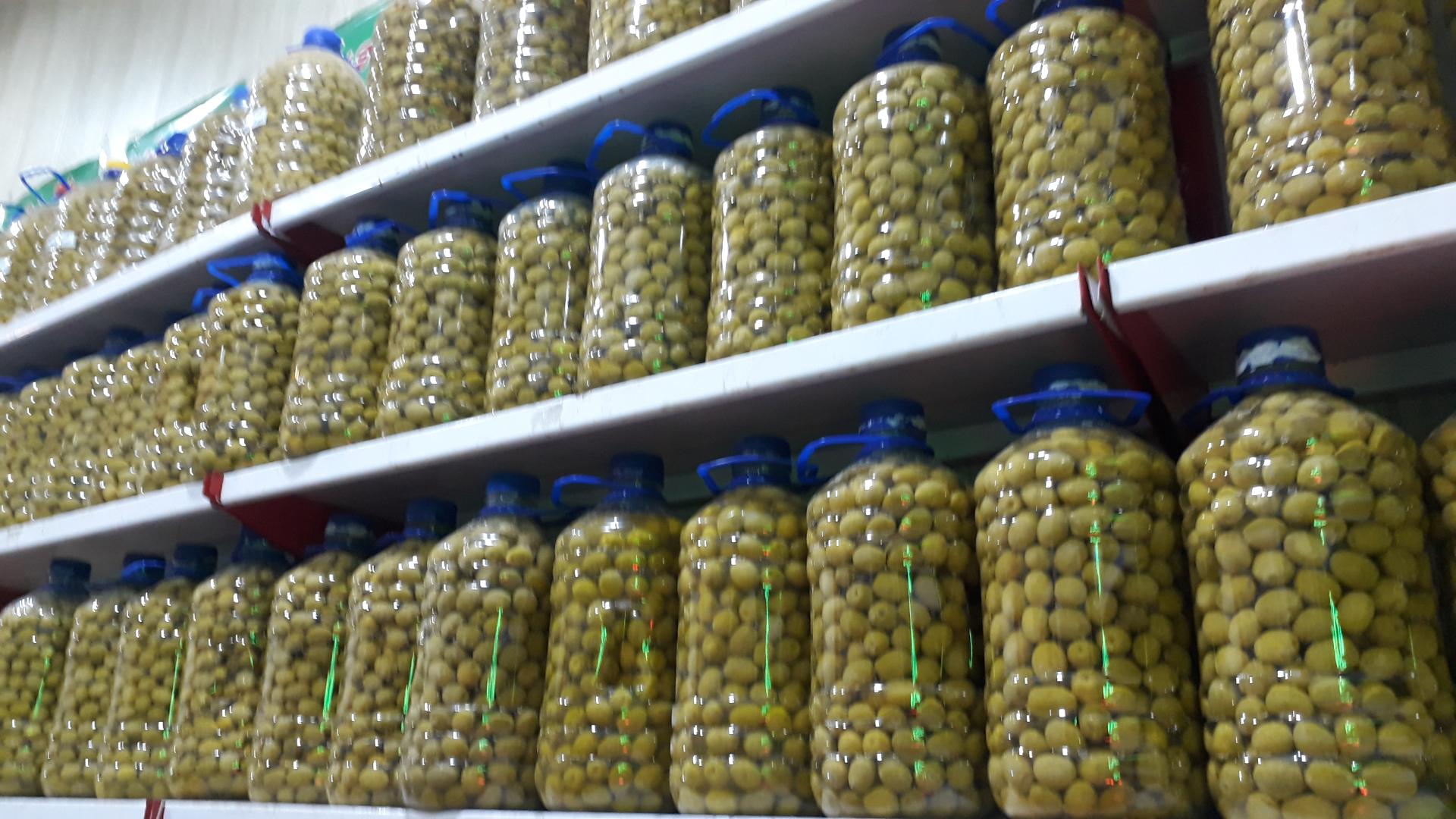 عکس زیتون سرای نسیمی