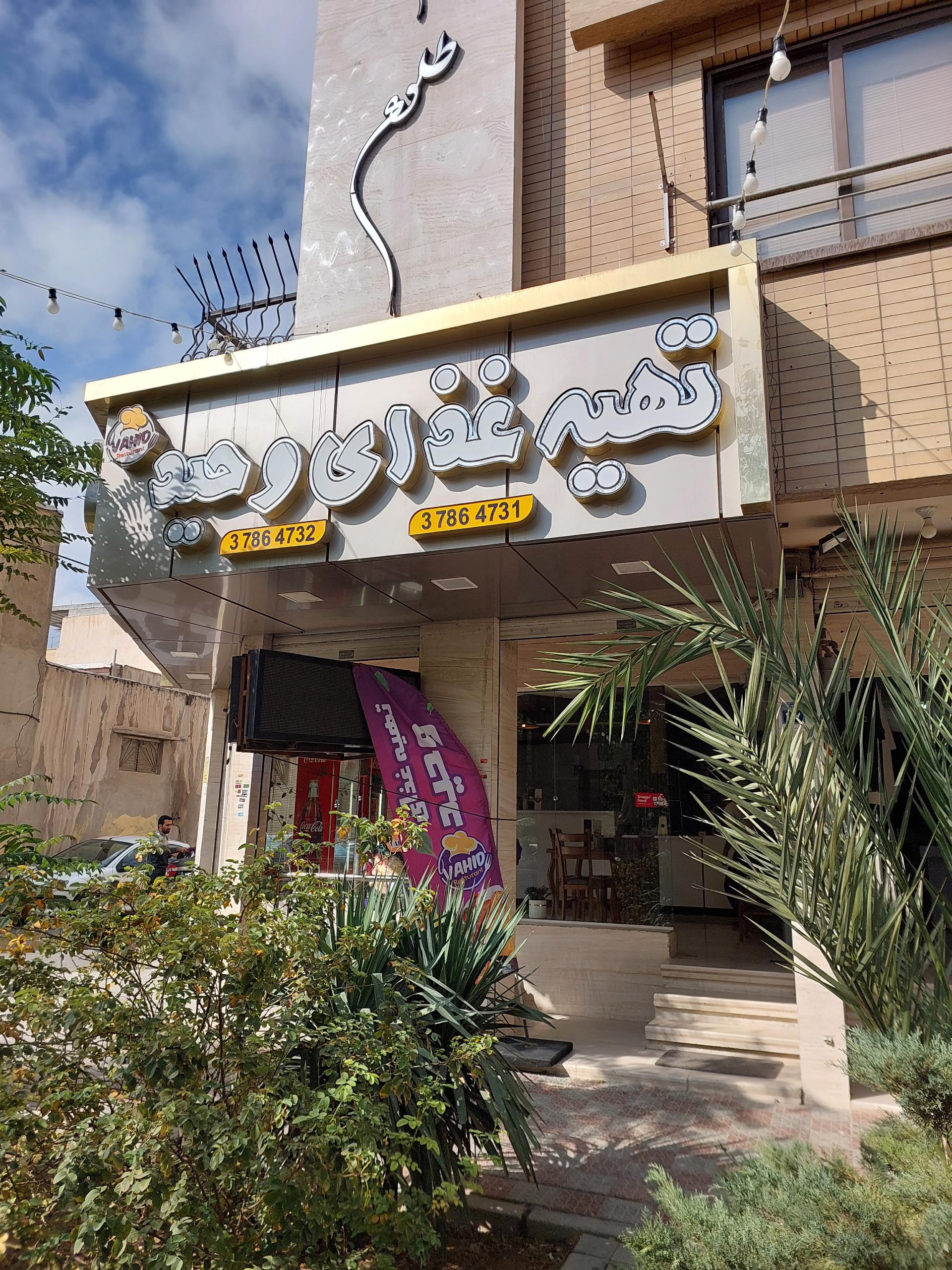 عکس تهیه غذای وحید