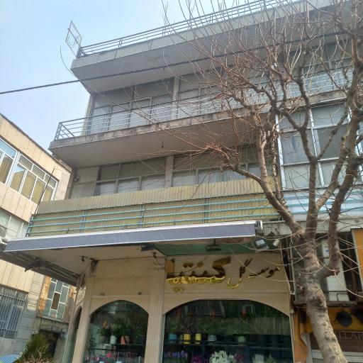 عکس موسسه گل کنیا