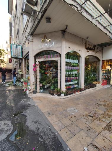 عکس موسسه گل کنیا