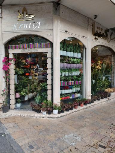 عکس موسسه گل کنیا