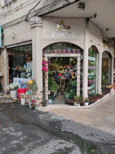 عکس موسسه گل کنیا