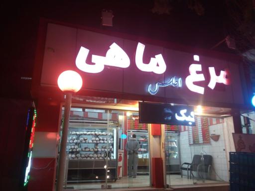عکس مرغ و ماهی اطلس