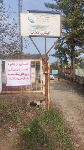عکس آبیاری شفت