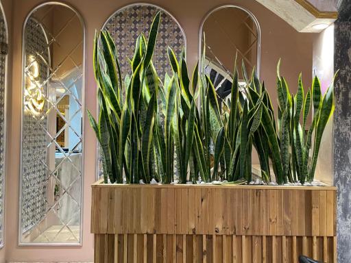 عکس کافه رستوران رهام