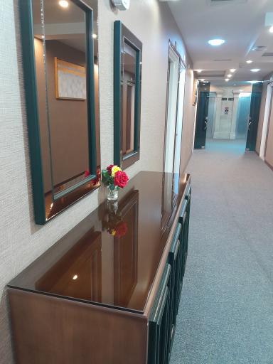 عکس هتل ونوس