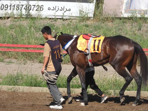 عکس اسبدوانی گنبد