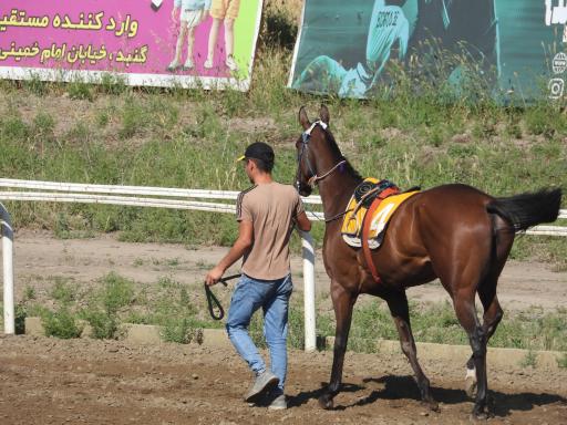 اسبدوانی گنبد