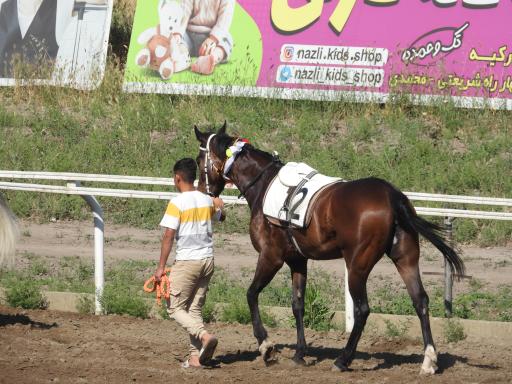 اسبدوانی گنبد